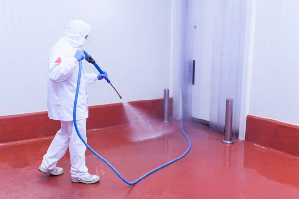 Best Concrete Surface Cleaning in Columbus Grove, OH
